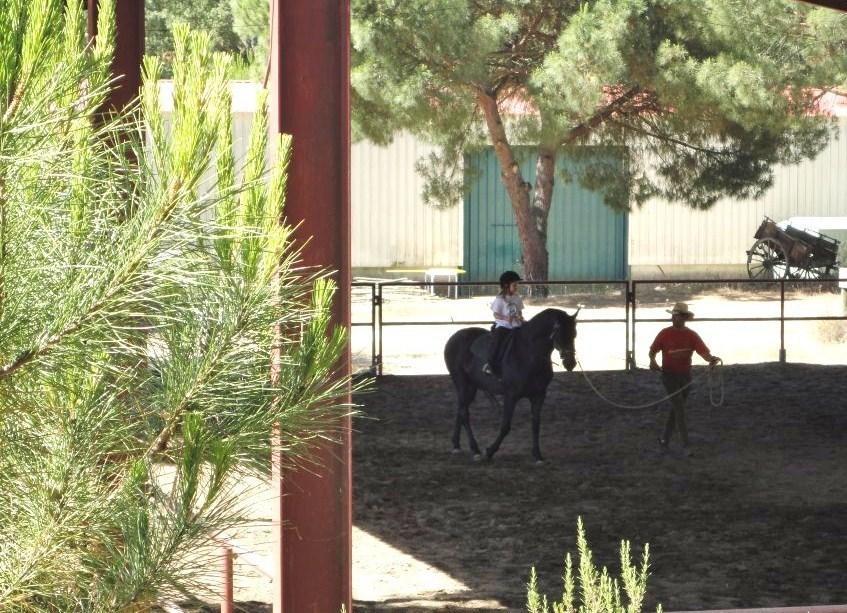 فيلا كوروشفي Coudelaria Vale Pau الغرفة الصورة